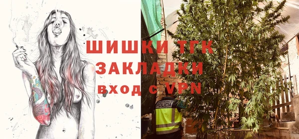 стаф Михайловск