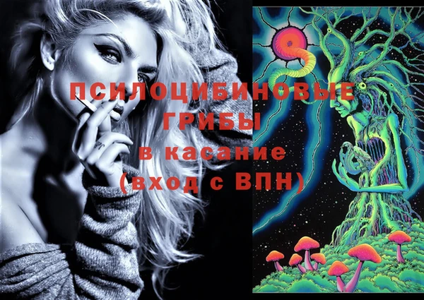 стаф Михайловск