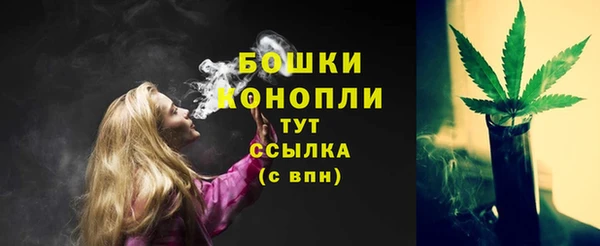 стаф Михайловск