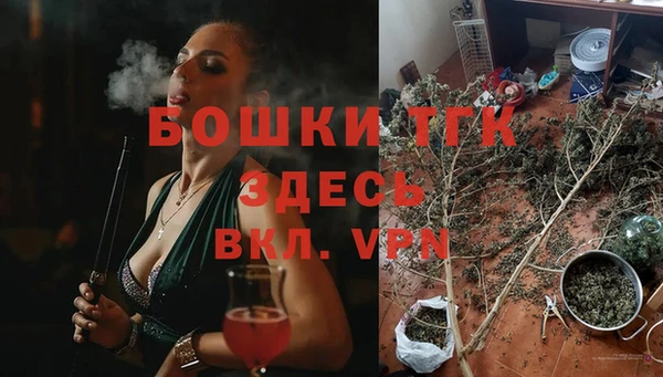 стаф Михайловск