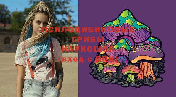 стаф Михайловск