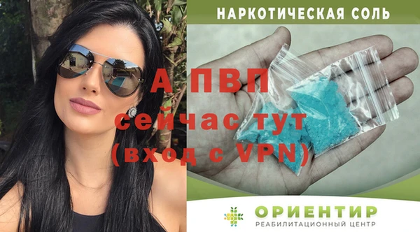 стаф Михайловск